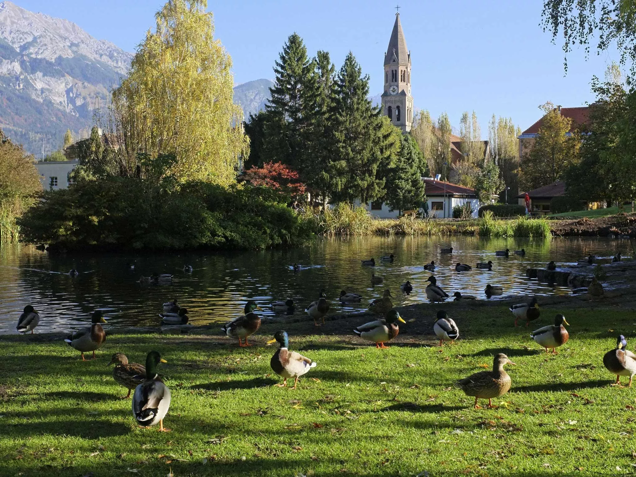 Rapoldi Park