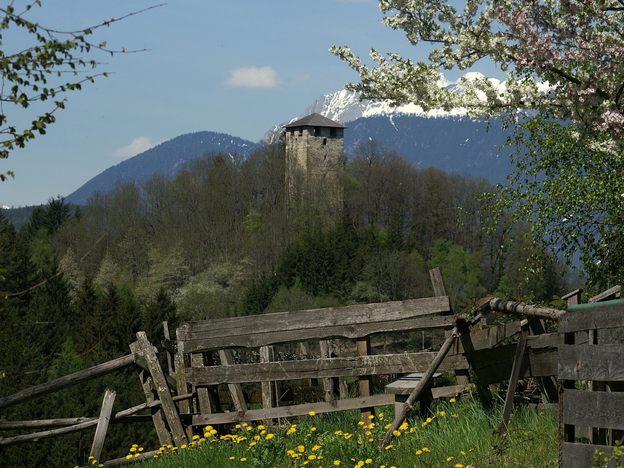 Ruine Hörtenberg