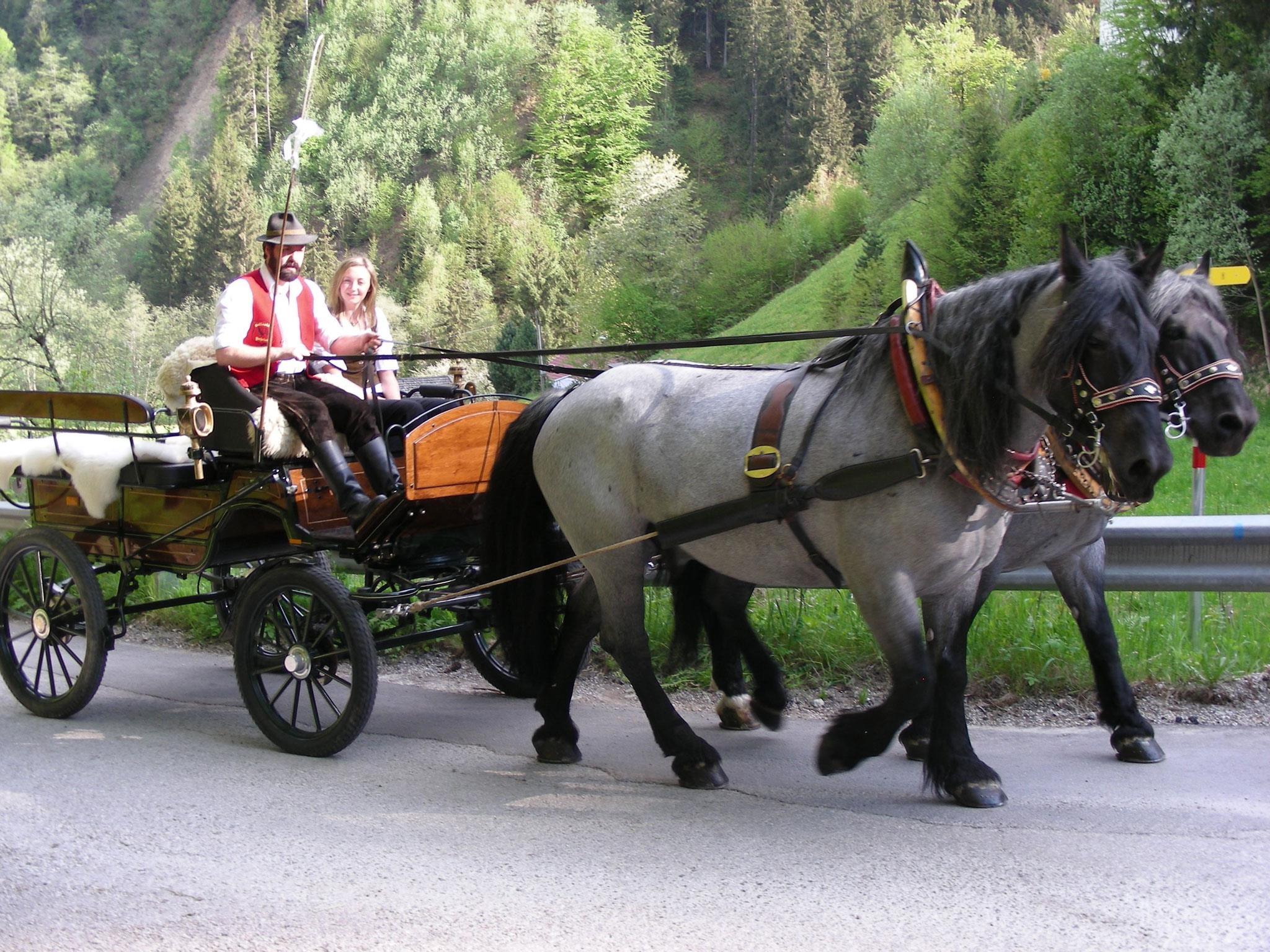 Romantische Kutschenfahrt